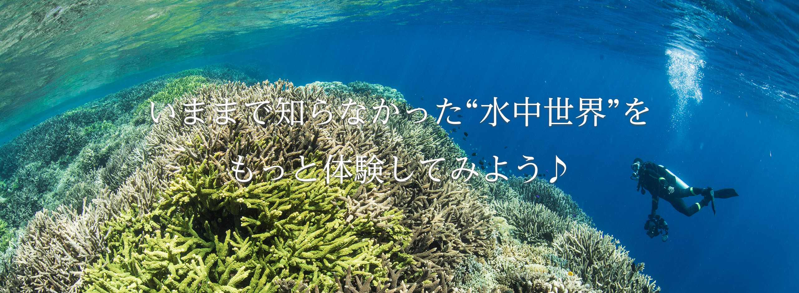 Answer_Main-visual_pc