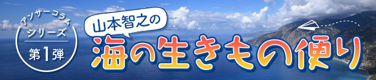 山本智之の「海の生きもの便り」