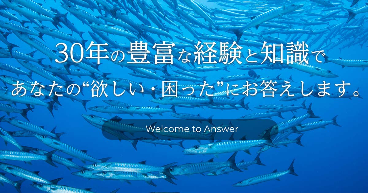 www.uw-answer.com