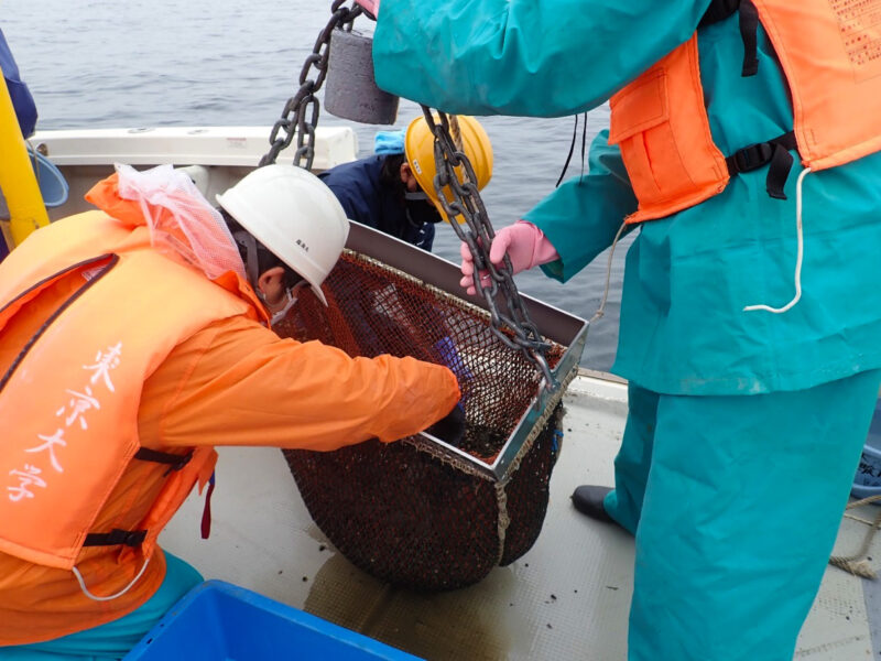 三浦半島沖の相模湾で底曳網調査をする研究者たち＝東京大学・川端美千代さん撮影