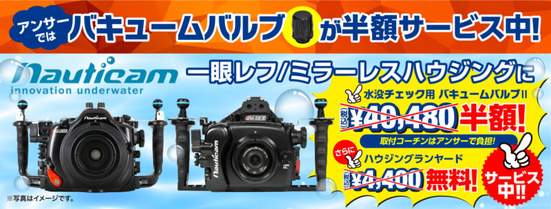 アンサーではバキュームバルブが半額！サービス中！