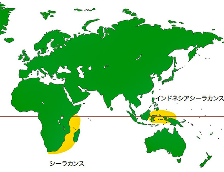 現生シーラカンス類２種の分布海域＝アクアマリンふくしま提供