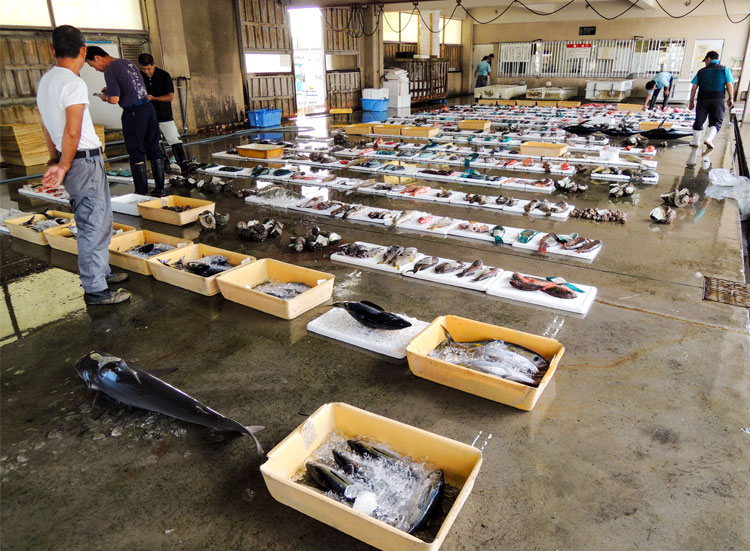 ずらりと並べられた魚たち＝沖縄県内の漁協のセリ場で、山本智之撮影