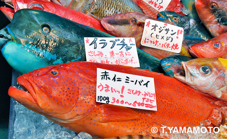 那覇市の鮮魚店に並ぶ色とりどりの魚たち＝山本智之撮影
