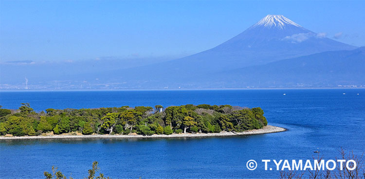 静岡県沼津市の大瀬崎＝山本智之撮影