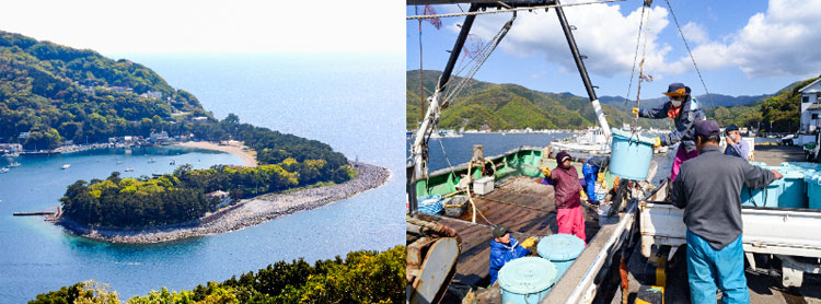 【写真左】駿河湾に面した戸田の海、【写真右】深海底曳き網漁の漁船の水揚げ風景＝いずれも山本智之撮影