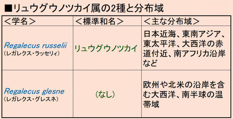 リュウグウノツカイ属の2種と分布域を示した表の画像