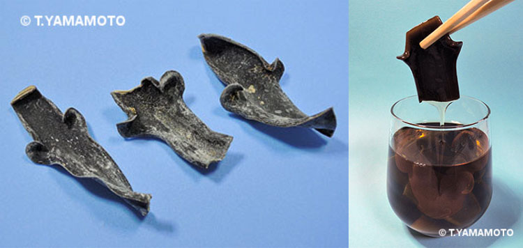 （左）ネコアシコンブの乾燥品と（右）昆布水の写真