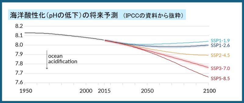 海洋酸性化の将来予測のグラフ