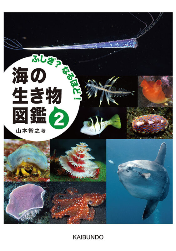 『ふしぎ？なるほど！海の生き物図鑑２』の書籍の写真